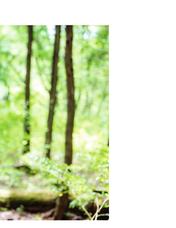 图片[20]-#Nao Kosaka 小坂菜绪 (日向坂46) 1st写真集 你是谁？ Cannon scan - 全本免费在线观看-阅图吧