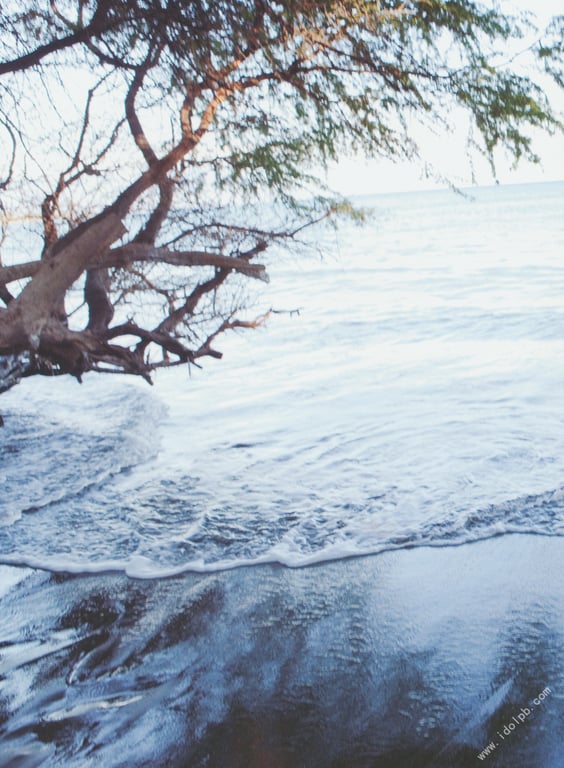 图片[63]-#武井咲 写真集 PLUMERIA - 全本免费在线观看-阅图吧