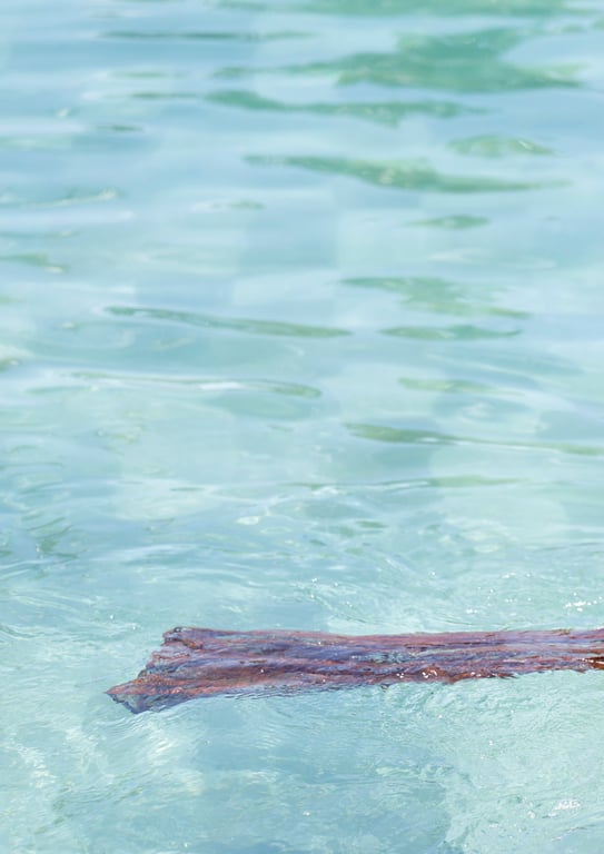 图片[75]-2024.04.26 【数字限定】丰田露娜写真集『side-B：Good to see Moon』 - 在线免费观看-阅图吧