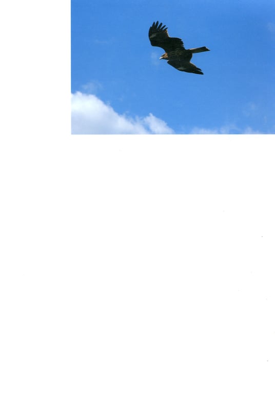 图片[93]-#Tomoka Kurokawa 黑川智花 – 15-year-old trajectory 15岁的轨迹 (2005-04-10) - 全本免费在线观看-阅图吧