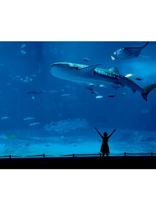 图片[101]-#Fuka Koshiba 小芝风花 写真集 F (2019.01.27) - 全本免费在线观看-阅图吧