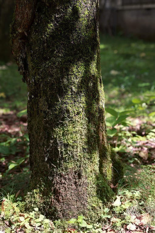 图片[10]-#Hikaru Nagi 凪光 – Beautiful breasts excellent 美乳绝佳 (NO watermark) - 全本免费在线观看-阅图吧