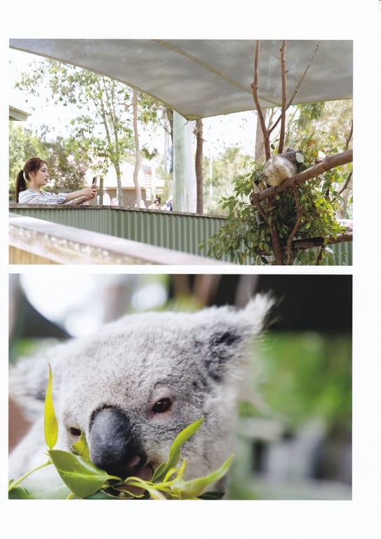 图片[35]-#都丸纱也华3rd写真集 MeeTomaru - 全本免费在线观看-阅图吧