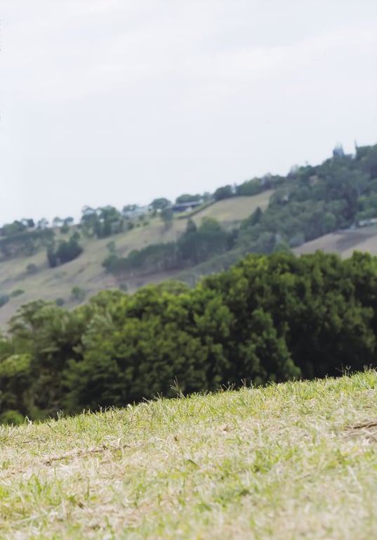 图片[118]-#都丸纱也华3rd写真集 MeeTomaru - 全本免费在线观看-阅图吧