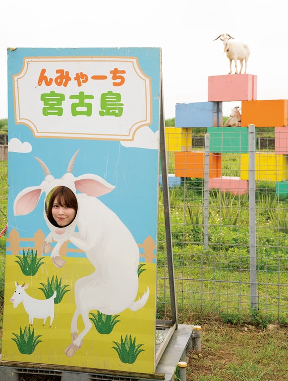 图片[57]-#小日向ゆかファースト写真集 はじメェ～まして。 (アサ芸アイドル写真集) - 全本免费在线观看-阅图吧