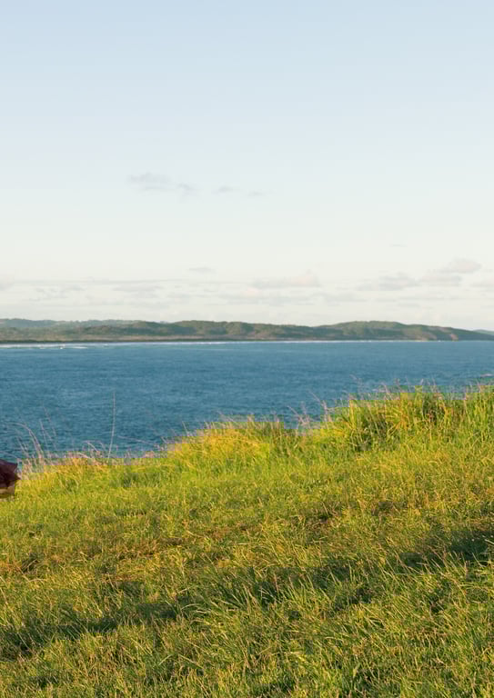 图片[146]-電子版だけの特典カットつき 菊地姫奈写真集 memory - 在线免费观看-阅图吧