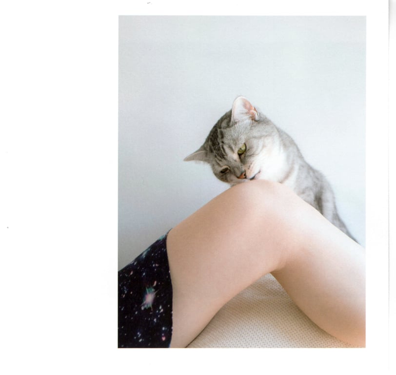 图片[32]-#青山裕企 Photobook 26sets\【青山裕企】猫与大腿 - 全本免费在线观看-阅图吧