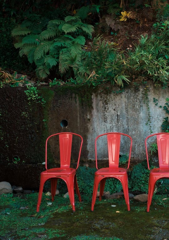 图片[53]-#極致 裸体写真集 (Wunder_Publishing_House.) - 全本免费在线观看-阅图吧