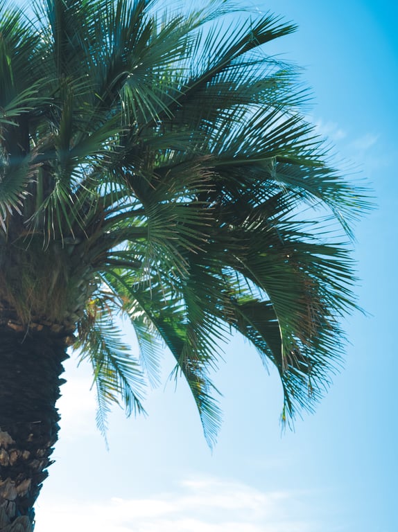 图片[2]-#【電子版だけの特典カットつき】塩地美澄写真集 Ｐｅａｒｌ - 全本免费在线观看-阅图吧