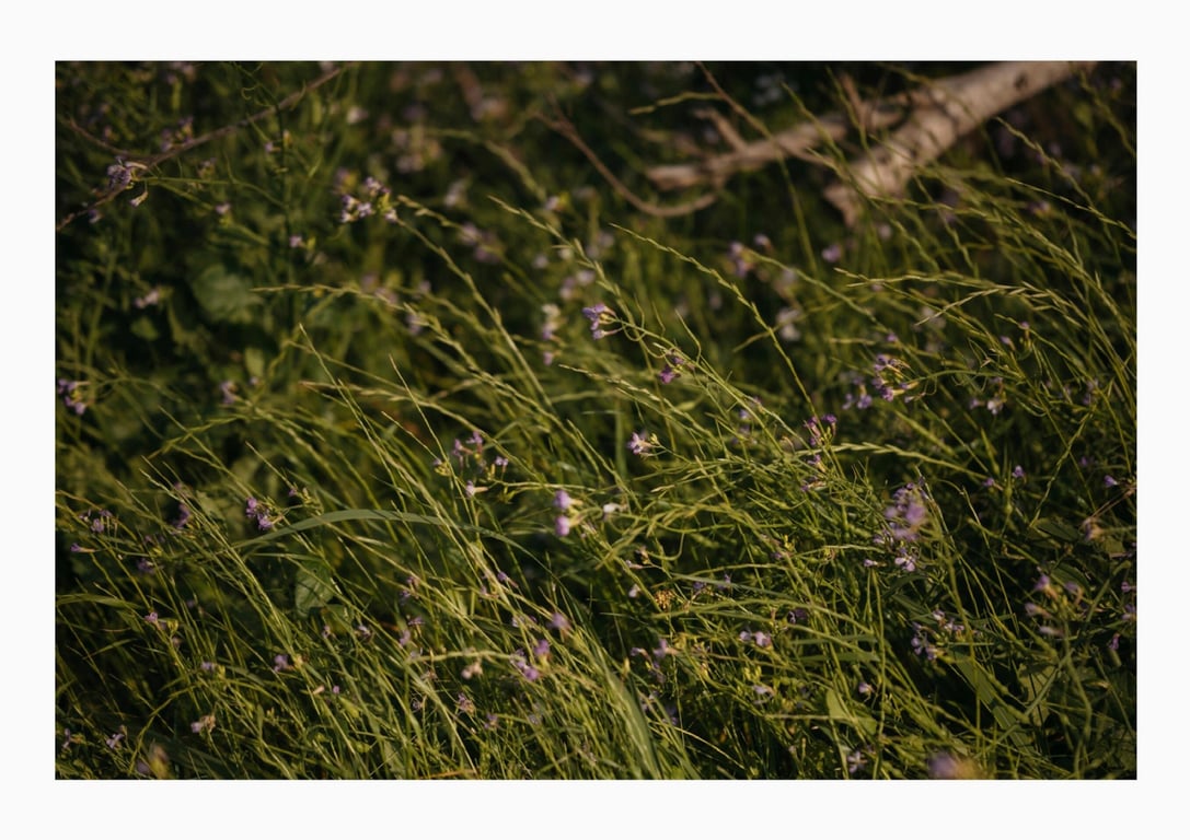 图片[163]-#紅羽りお デジタル写真集 想触摸？ (Wunder Publishing House) - 全本免费在线观看-阅图吧