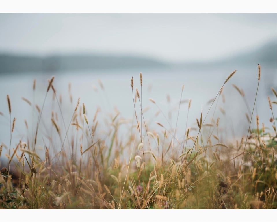 图片[199]-#ときめき。かれしちゃん e-book (wunder publishing house) - 全本免费在线观看-阅图吧