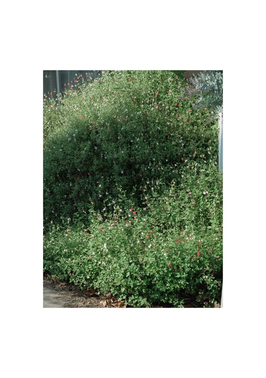 图片[127]-#石川澪 デジタル写真集 とられち(No Watermark) - 全本免费在线观看-阅图吧