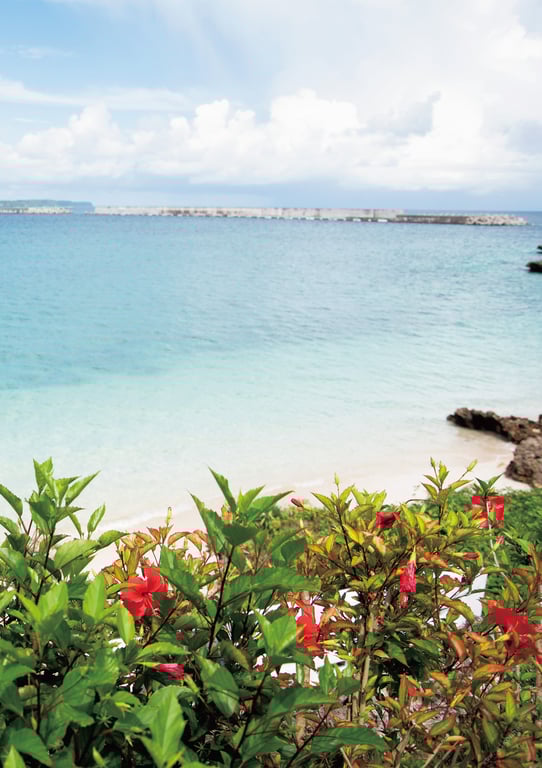 图片[5]-#Asuna Kawai 河合明日菜 – Kamichichi 神乳 (2019-02-13) - 全本免费在线观看-阅图吧