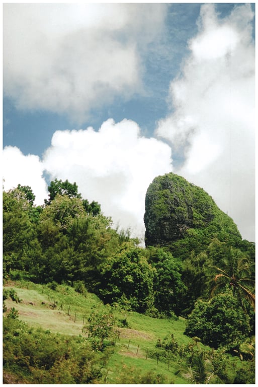 图片[33]-Ayane Suzuki 鈴木絢音 - 1st Photobook The angle of the light 光之角度 (2020-11-10) - 在线免费观看-阅图吧