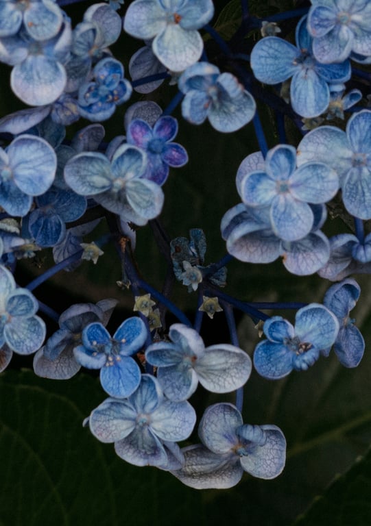 图片[3]-七沢みあ デジタル写真集 とられち(No Watermark) - 阅图吧-阅图吧