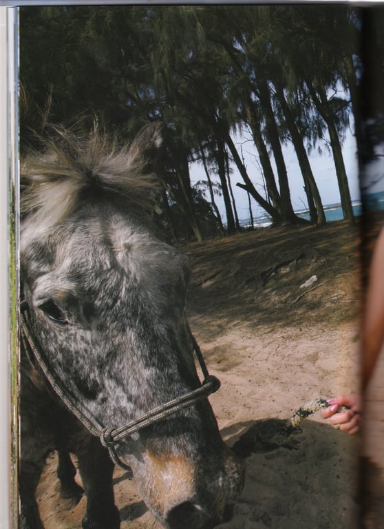 图片[28]-#石川梨華写真集 『华恋』 - 全本免费在线观看-阅图吧