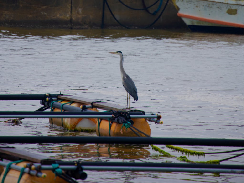 图片[44]-#唯奈美月 ヌード写真集 この胸のときめき[117P] - 全本免费在线观看-阅图吧