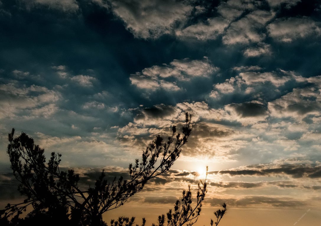 图片[80]-Hiroko Sato 佐藤宽子 - 1262 (2017-02-20)佐藤宽子 1262 - 在线免费观看-阅图吧