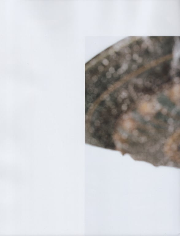 图片[25]-#乃木坂46 山下美月1st写真集「忘不了的人」 - 全本免费在线观看-阅图吧