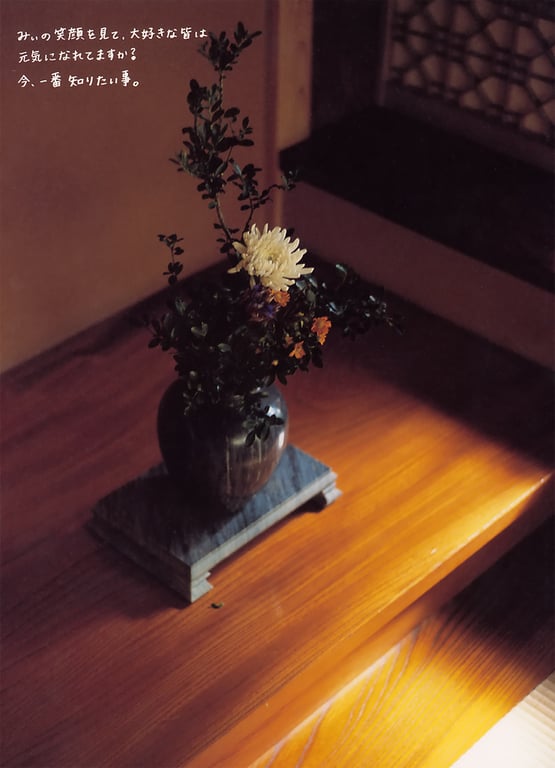 图片[32]-#伊藤瞳 – NAKED - 全本免费在线观看-阅图吧