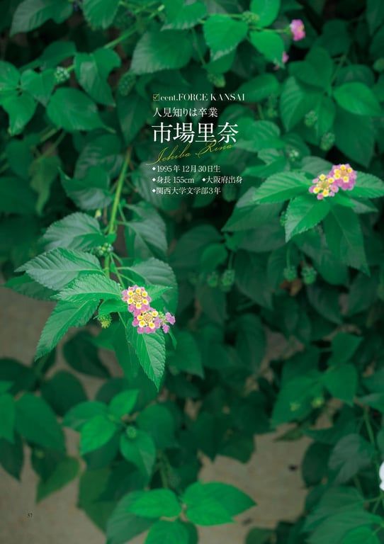 图片[51]-#原色美人主播大图鉴 2017 - 全本免费在线观看-阅图吧