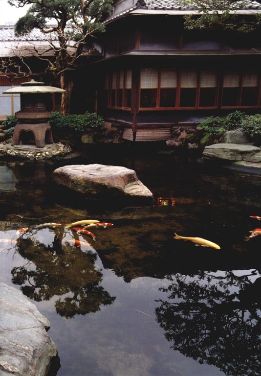 图片[113]-#(月刊シリーズ 057) – 月刊057 佐藤珠绪Special - 全本免费在线观看-阅图吧