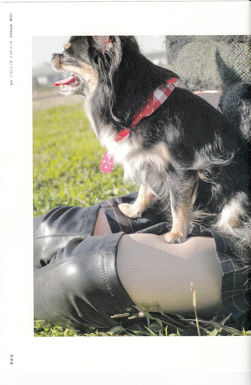 图片[15]-#青山裕企 Photobook 26sets\【青山裕企】绝对领域 - 全本免费在线观看-阅图吧