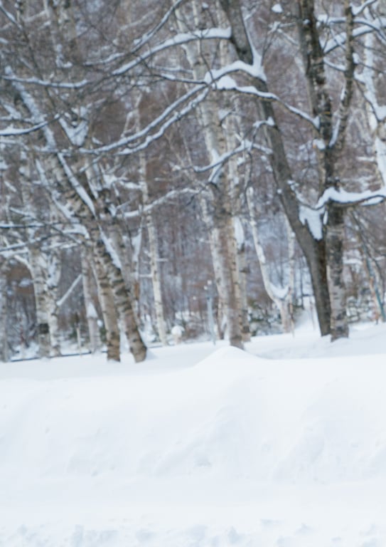图片[141]-2024.11.29 【仅电子版特典照片附赠】后藤真希 写真集 ｆｌｏｓ - 在线免费观看-阅图吧