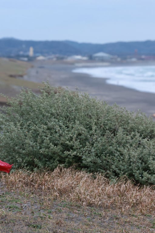 图片[116]-#葉月翼 澪引 ｖｏｌ．２ オール未公開１００カット超完全版 ＦＲＩＤＡＹデジタル写真集 - 全本免费在线观看-阅图吧