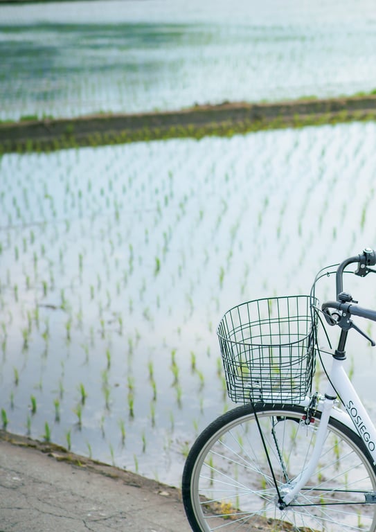 图片[42]-#鈴原りこ1st写真集 柔软温暖。54カット増 大増190ページデジタル完全版 - 全本免费在线观看-阅图吧