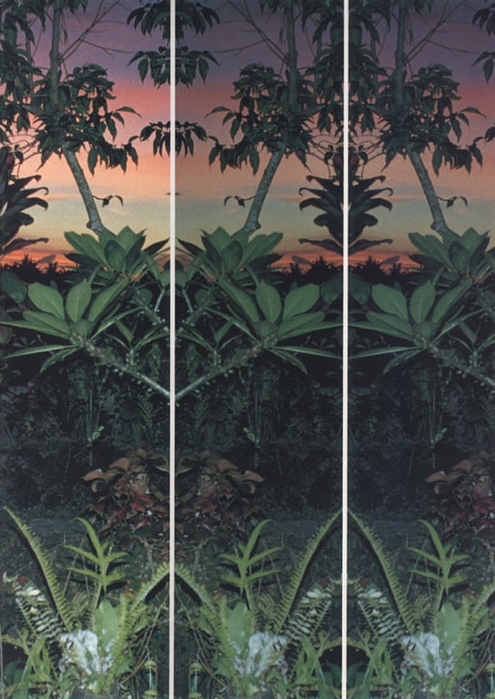 图片[19]-#(月刊系列 062) – 月刊062 加藤夏希() - 全本免费在线观看-阅图吧