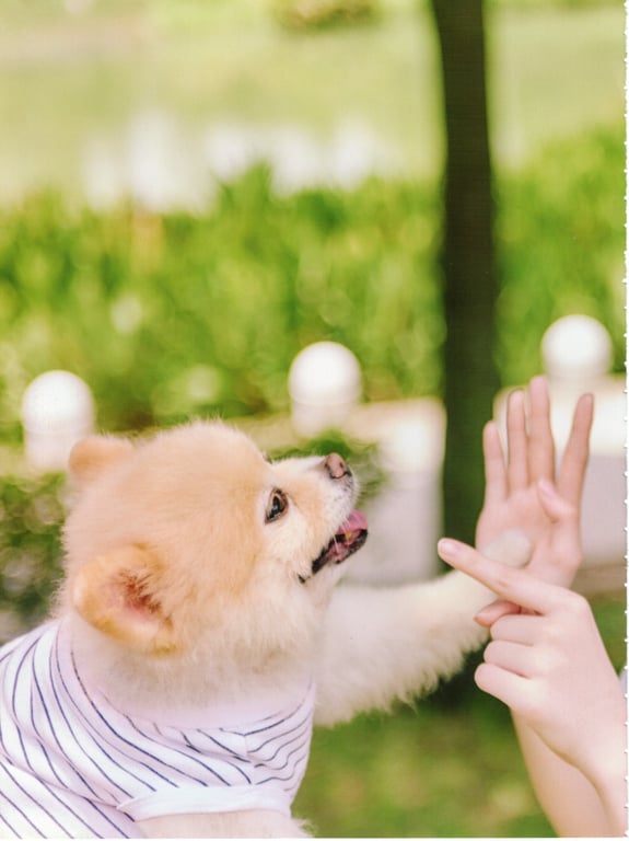 图片[87]-2024.11.19 乃木坂46 岩本莲加1st写真集 顽皮的风 - 在线免费观看-阅图吧