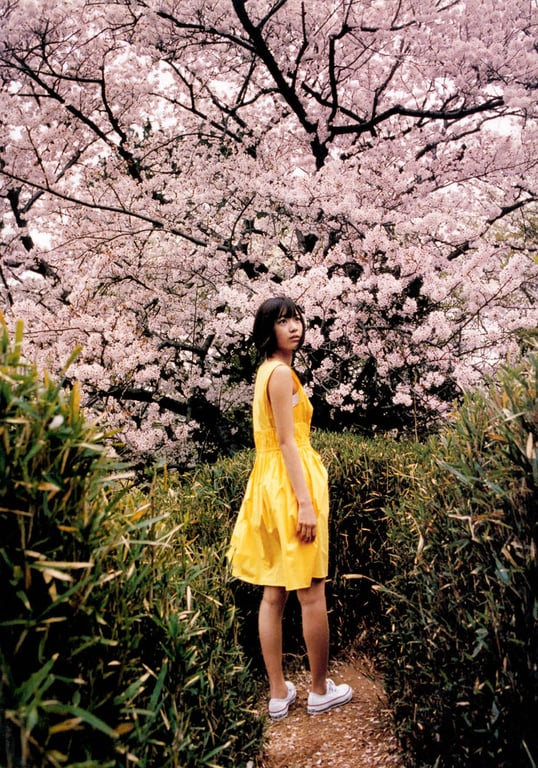 图片[24]-#宮脇咲良ファースト写真集 さくら - 全本免费在线观看-阅图吧