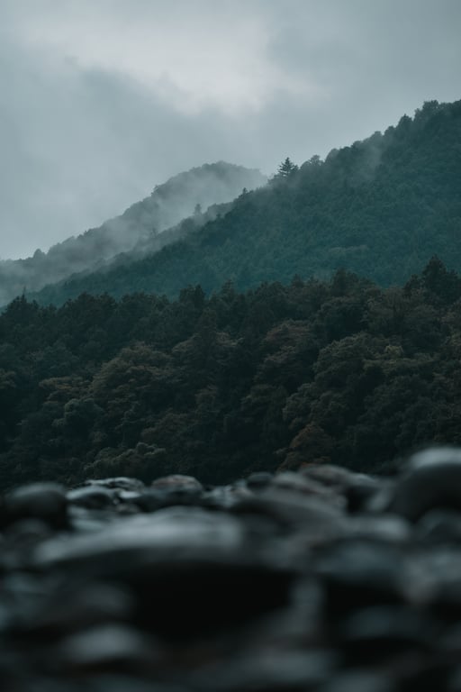 图片[41]-けん研🧪 (剑剑) 女忍者忍法色诱之术DL写真集 - 在线免费观看-阅图吧