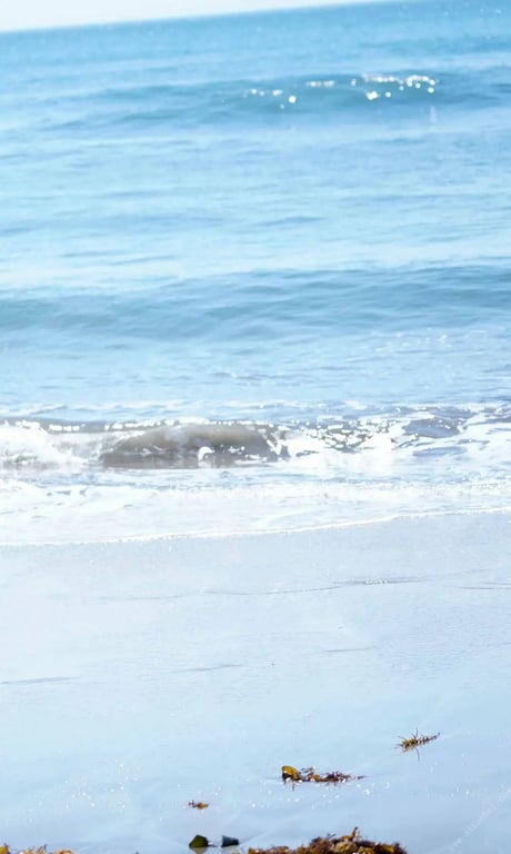 图片[21]-#【数字限定】奈月濑奈写真集「夏之女神大人！～Summer Venus～」 週プレ PHOTO BOOK\ 【数字限定】奈月濑奈写真集「夏之女神大人！～Summer Venus～」 週プレ PHOTO BOOK - 全本免费在线观看-阅图吧