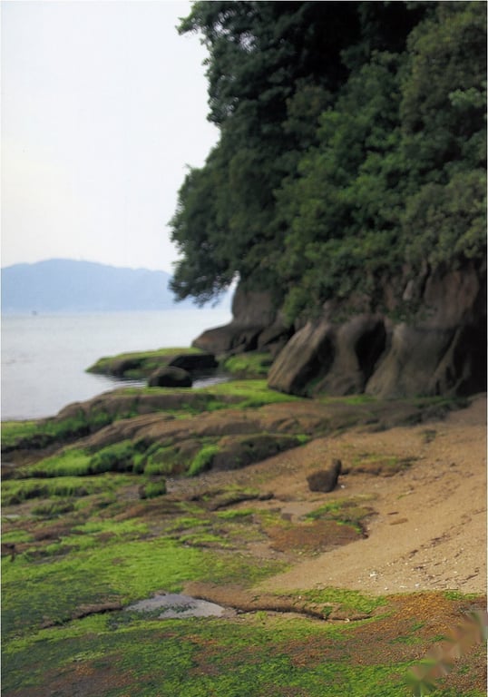 图片[81]-#Yuria Haga 芳贺优里亚 – Girl singing on a slope 坂道唱歌的少女 (2001-07-25) - 全本免费在线观看-阅图吧