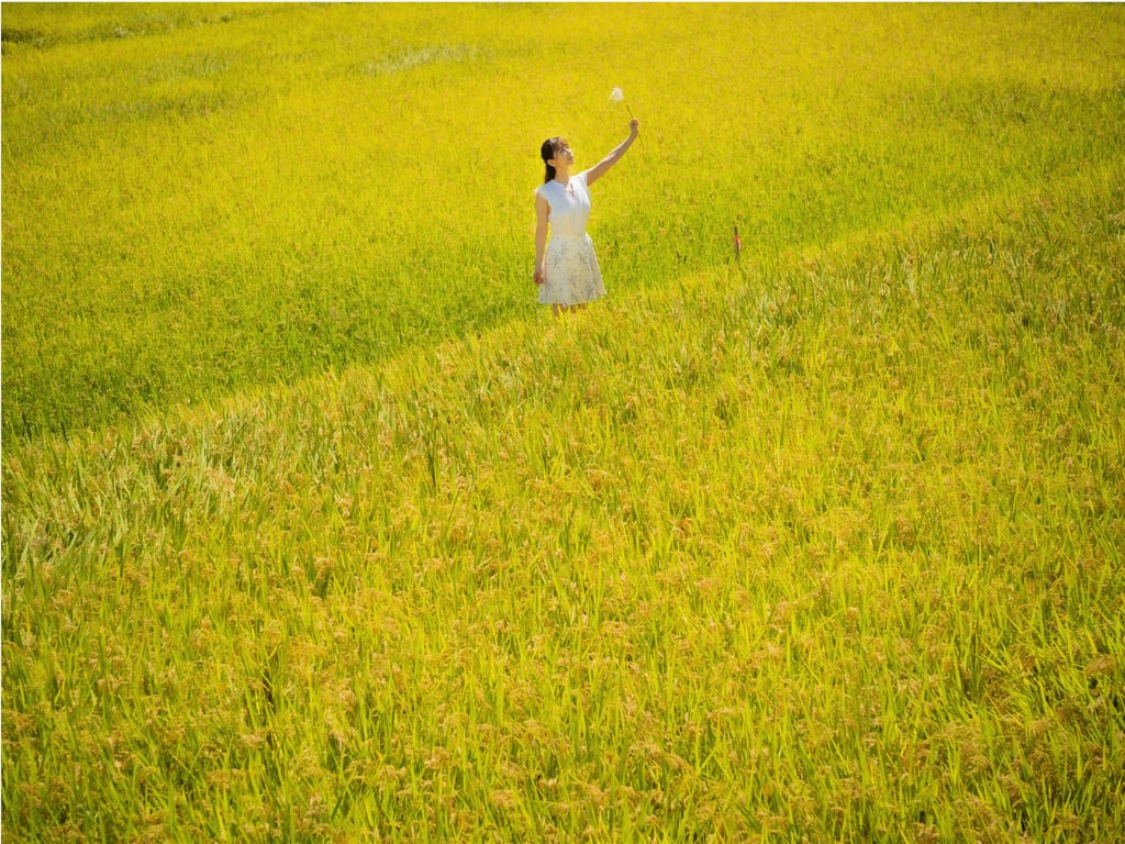 图片[15]-#笹倉杏 写真集 Do you like me - 全本免费在线观看-阅图吧