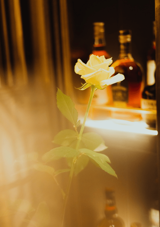 图片[3]-宫下玲奈 #LadyMary - 在线免费观看-阅图吧