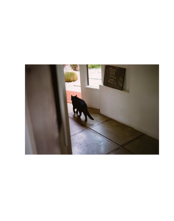 图片[61]-白石麻衣写真集「护照」 (new scan) - 在线免费观看-阅图吧