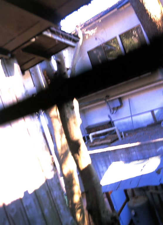 图片[77]-#佐藤江梨子 – 搬家 - 全本免费在线观看-阅图吧