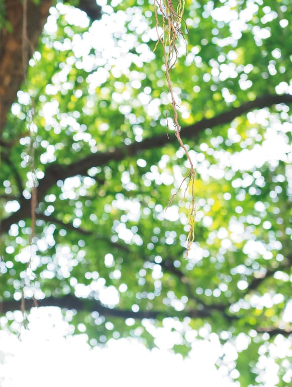 图片[86]-Tsukasa Aoi 葵司 AS I AM -如实- 朝日艺能SEXY女演员 (2018.05.29) - 在线免费观看-阅图吧