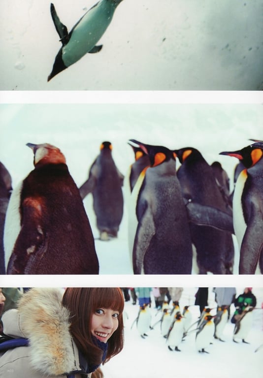 图片[28]-#杉本有美 写真集 杉本有美与1泊2日 - 全本免费在线观看-阅图吧