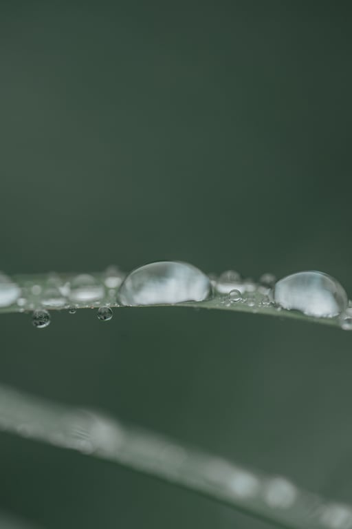 图片[39]-けん研🧪 (剑剑) 女忍者忍法色诱之术DL写真集 - 在线免费观看-阅图吧