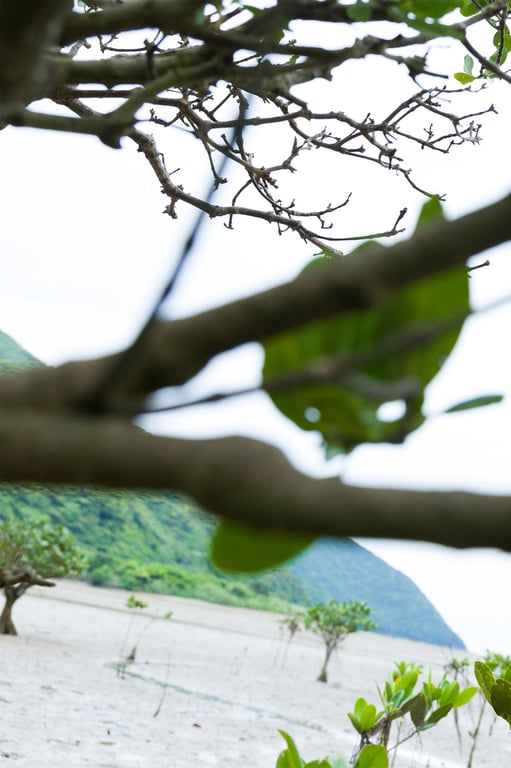 图片[33]-2022.07.14 【数字限定】志田音音首本写真集另一版本『nene－完全旅行－』 - 在线免费观看-阅图吧