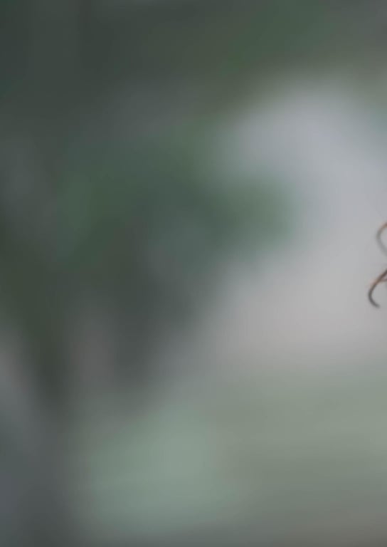 图片[46]-#Shiika Arai 新井椎夏 – 1st Photobook I\’m happy 真开心 (2023-01-26) - 全本免费在线观看-阅图吧