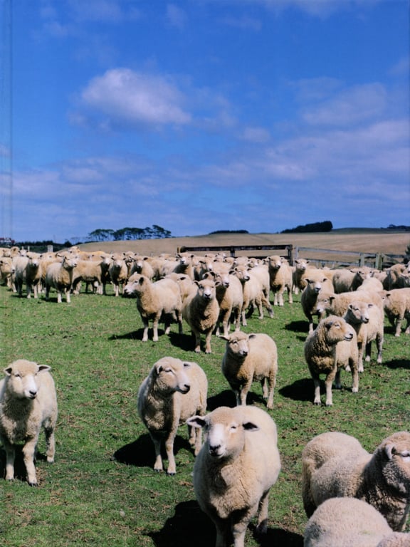 图片[39]-#杉本有美 ファースト写真集 うち HQ - 全本免费在线观看-阅图吧