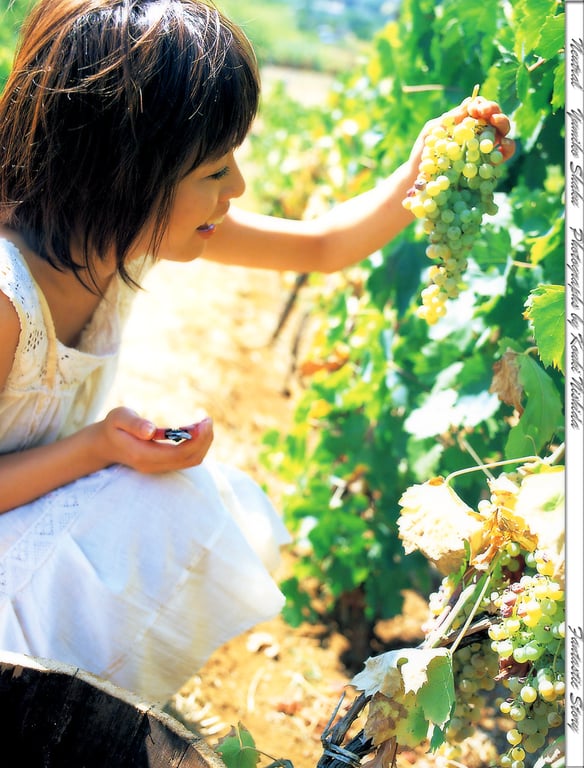 图片[30]-#釈由美子 – Neutral - 全本免费在线观看-阅图吧