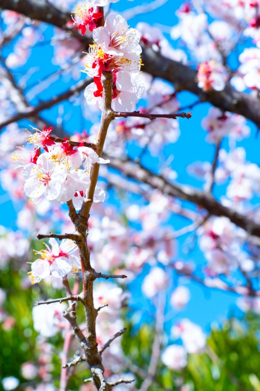 图片[28]-うみに溺れて 及川海【グラビア写真集】 - 在线免费观看-阅图吧