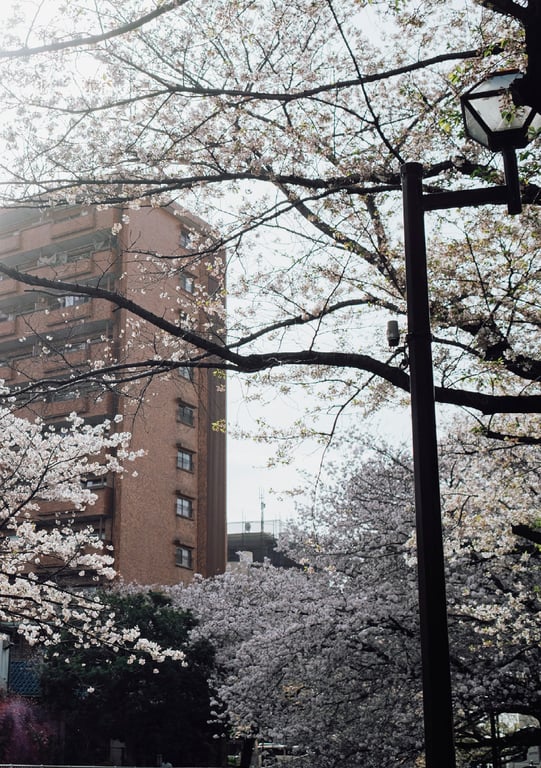 图片[102]-#七ツ森りりデジタル写真集 被拍走(No Watermark) - 全本免费在线观看-阅图吧