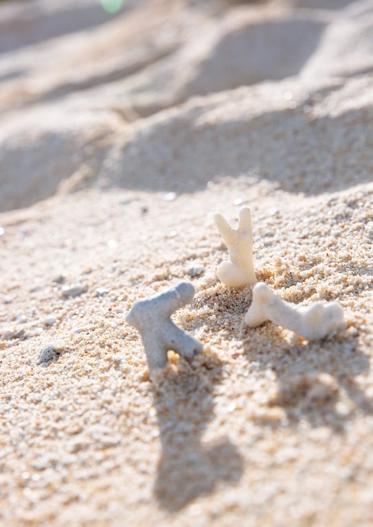 图片[24]-#Fuka Koshiba 小芝风花 写真集 F (2019.01.27) - 全本免费在线观看-阅图吧